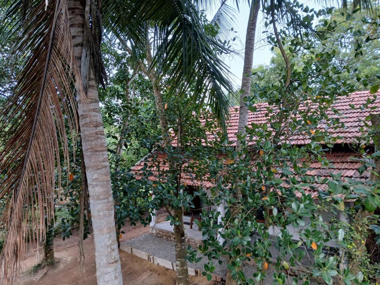 Lagoon Birds - Tangalle Hotel Exterior photo