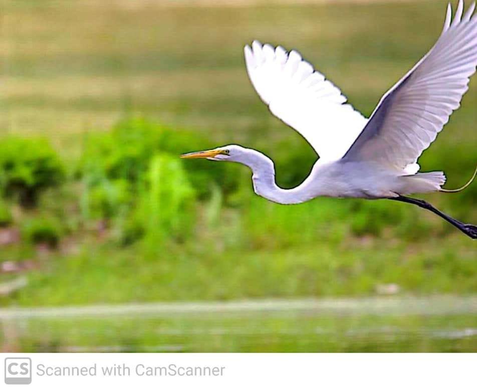 Lagoon Birds - Tangalle Hotel Exterior photo